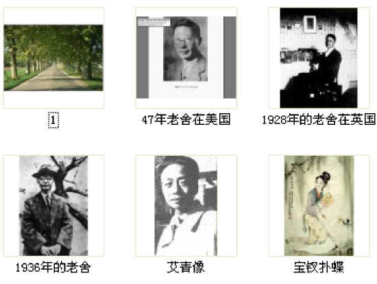 查看预览图