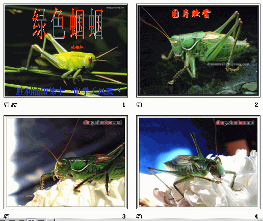 查看预览图