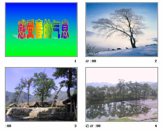 查看预览图