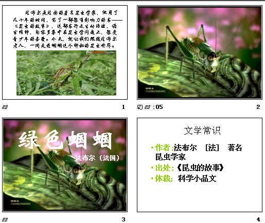 查看预览图