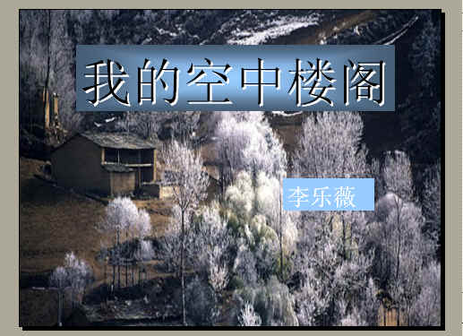 查看预览图