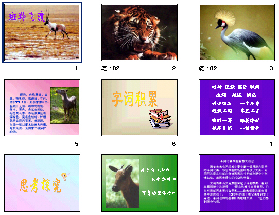 查看预览图