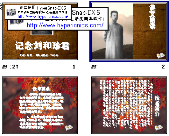 查看预览图