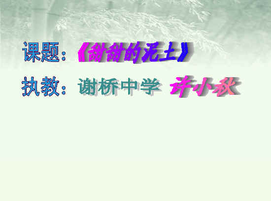 鿴Ԥͼ