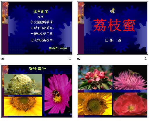 查看预览图