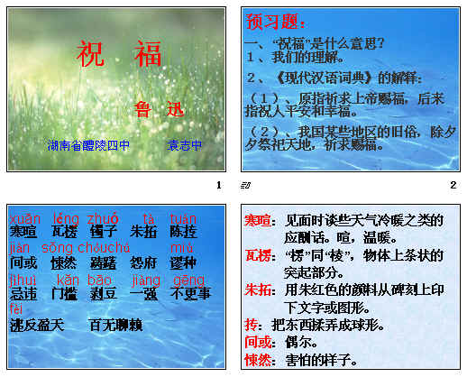 查看预览图