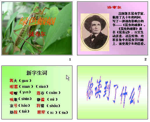 查看预览图