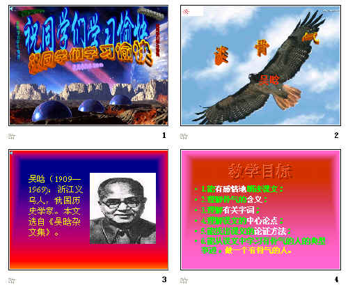 查看预览图