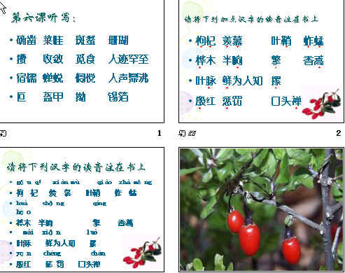 查看预览图