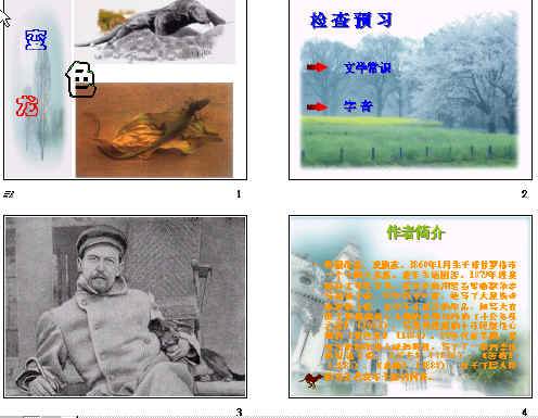 查看预览图