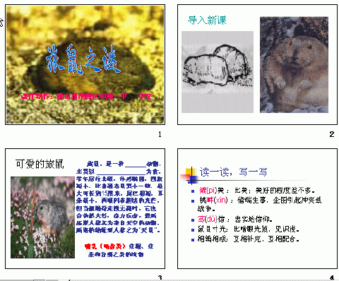 查看预览图
