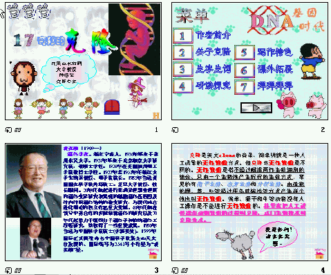 查看预览图