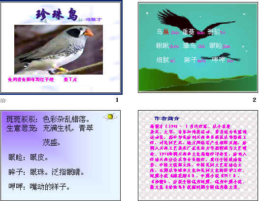 查看预览图