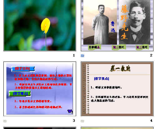 鿴Ԥͼ