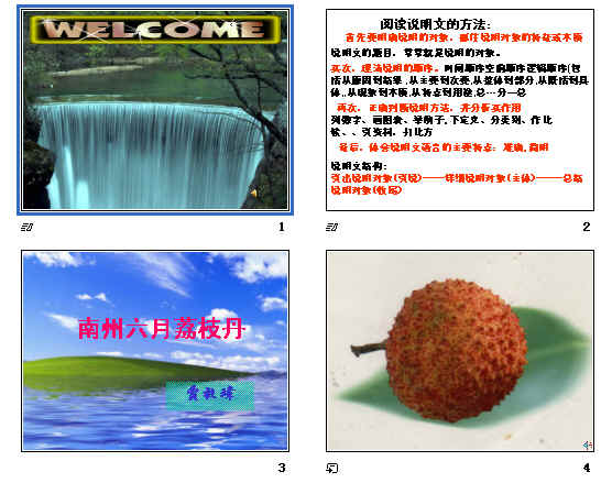鿴Ԥͼ