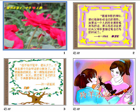查看预览图