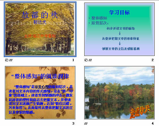 查看预览图