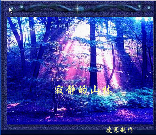 查看预览图