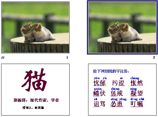 查看预览图