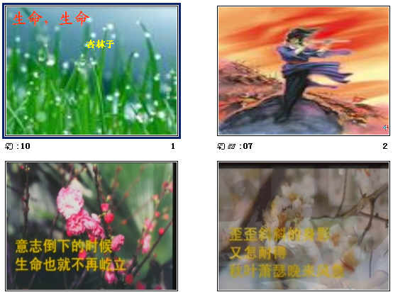 查看预览图