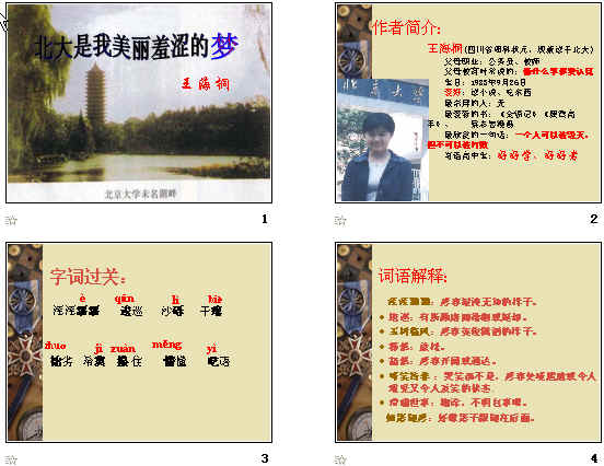 查看预览图