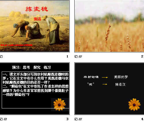 查看预览图