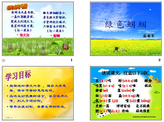 查看预览图