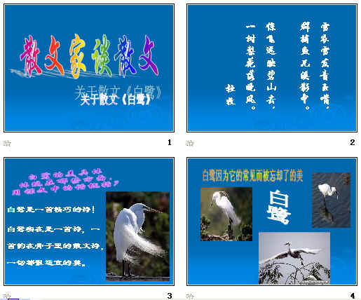 查看预览图