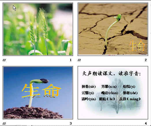 查看预览图