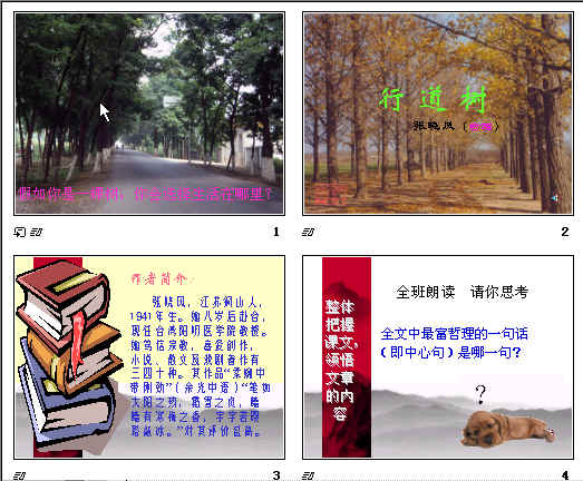 鿴Ԥͼ