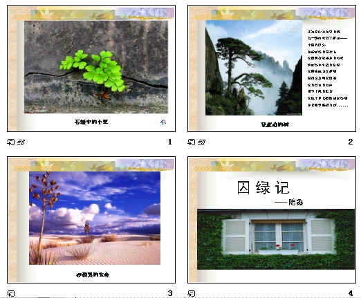查看预览图