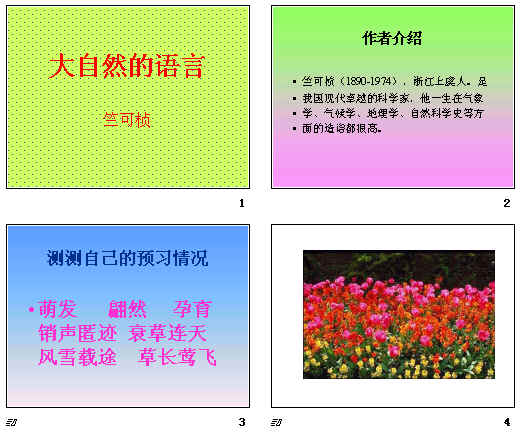 鿴Ԥͼ