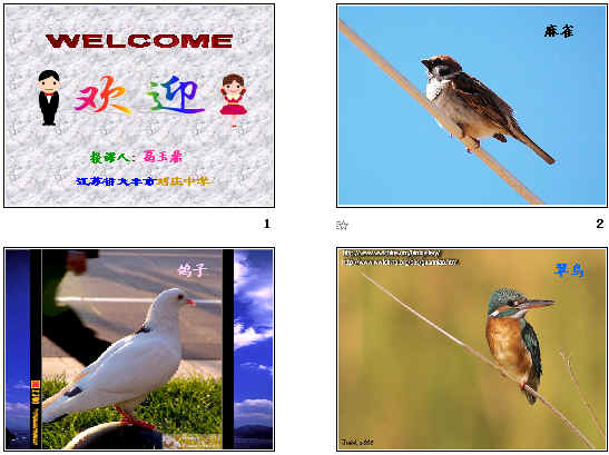 鿴Ԥͼ