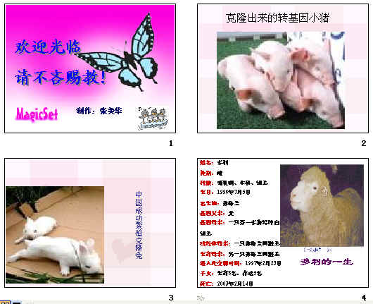 查看预览图