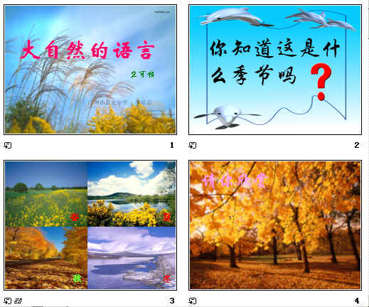 查看预览图