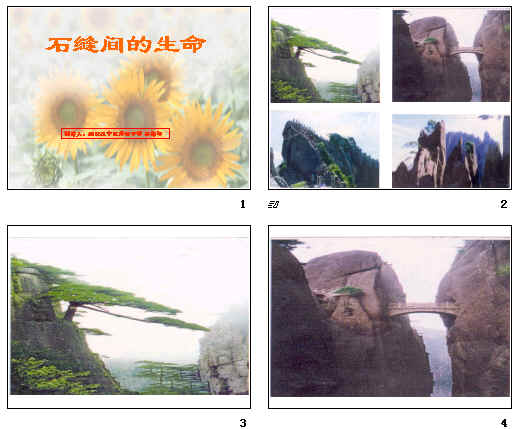 鿴Ԥͼ