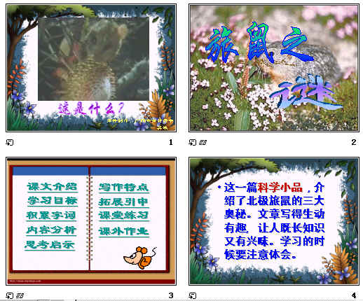 鿴Ԥͼ