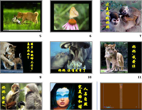 查看预览图