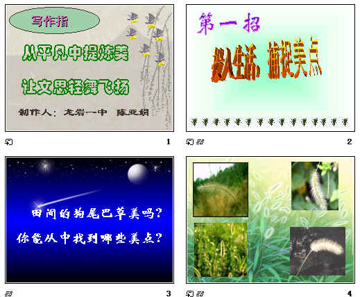 查看预览图