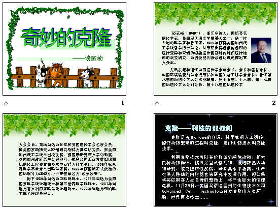 查看预览图