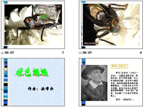鿴Ԥͼ