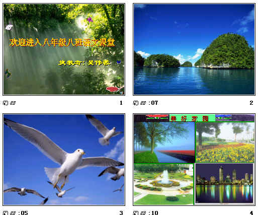 查看预览图