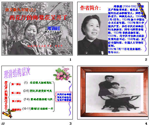 鿴Ԥͼ
