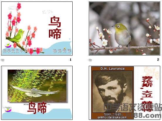 查看预览图