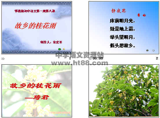 查看预览图