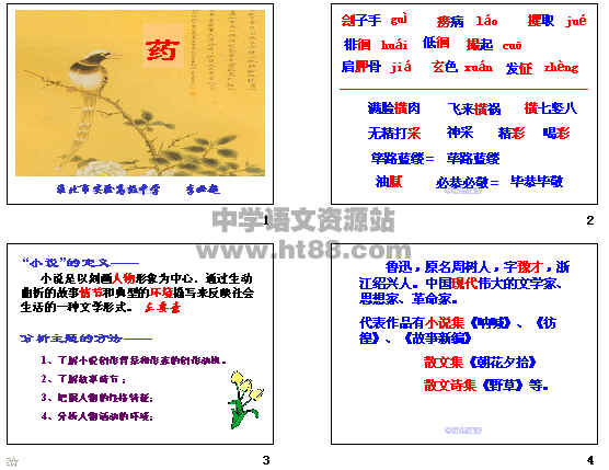查看预览图