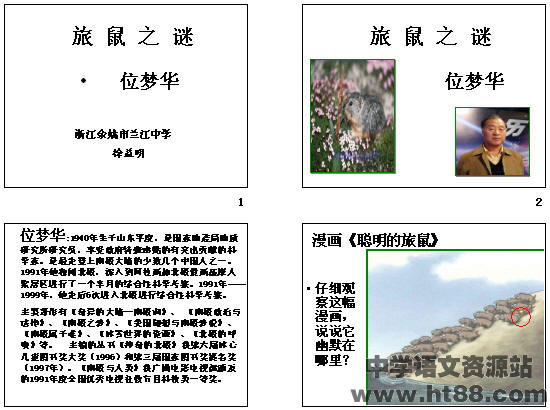 查看预览图