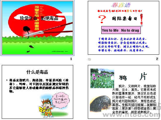 查看预览图
