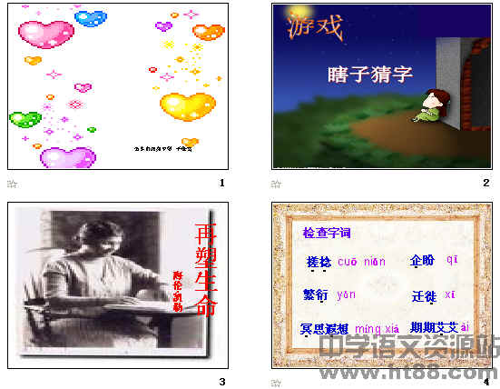鿴Ԥͼ