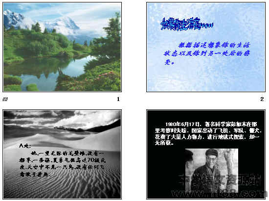 查看预览图
